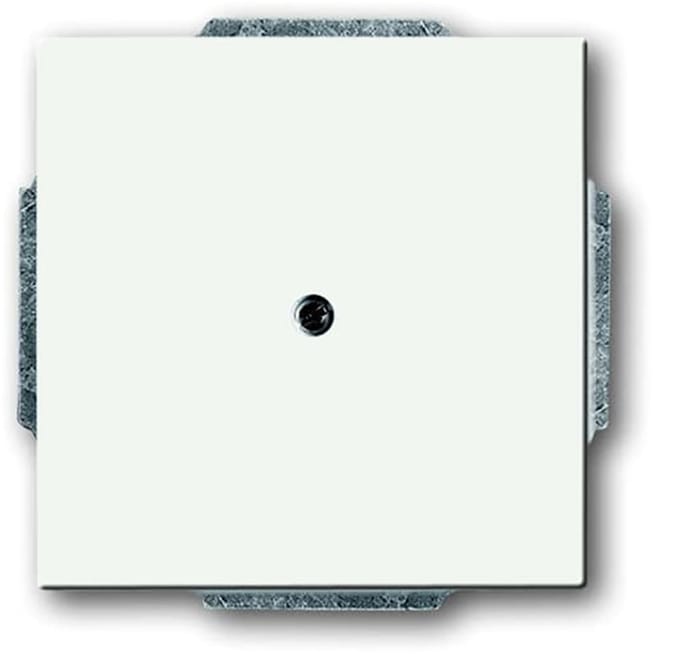 ABB Busch-Jaeger toekomstig Bedieningselement/Centrale Plaat Schakelmateriaal - 2CKA001710A3873 - E2Q9C