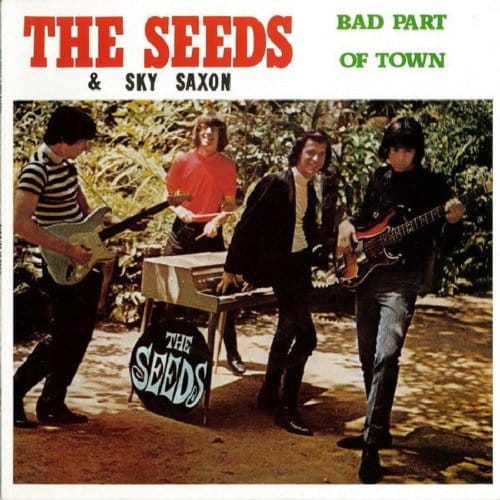 Bad Part Of Town (Vinyl) - The Seeds & Sky Saxon
