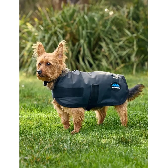 Waterdichte hondenjas Weatherbeeta Comfitec Classic