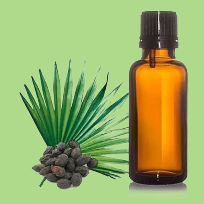 Zegepalm - Saw Palmetto Etherische Olie - 100 ml