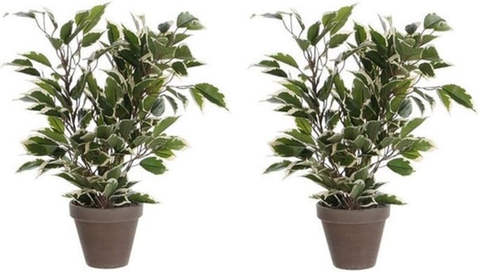 Mica Decorations Kunstplant Ficus - 2x - 40 cm - groene kamerplant