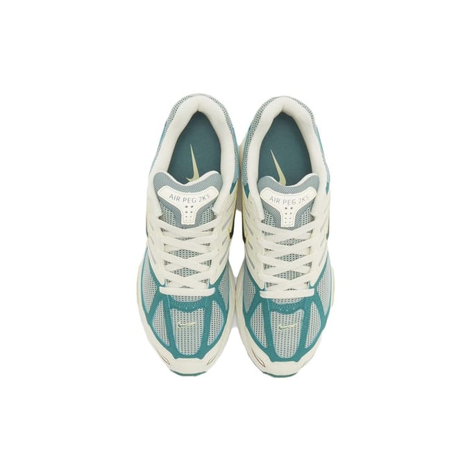 Nike Air Peg 2K5 'Bicoastal' - Maat 44.5