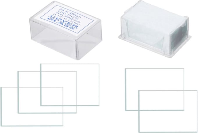 Dekglaasjes microscoop 24 × 40 mm – glas – 0,13-0,17 mm dik – 100 stuks