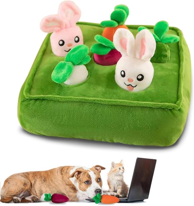 Snuffelmat Hond - Interactief Speelgoed - Verveling Verminderen - Stimuleert Reukvermogen - 28 cm - Multicolor