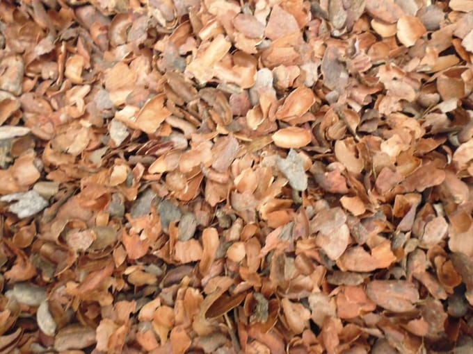Cacaodoppen Bodembedekker 50 liter