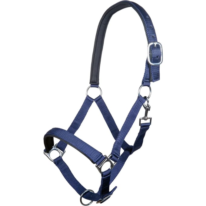 Halster voor paarden HKM Stars