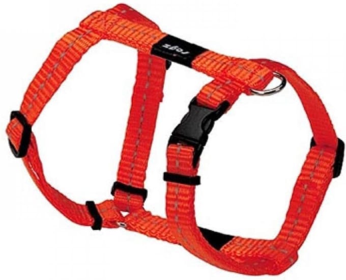 Rogz For Dogs Nitelife Hondentuig - Oranje - 11 mm x 20-36 cm
