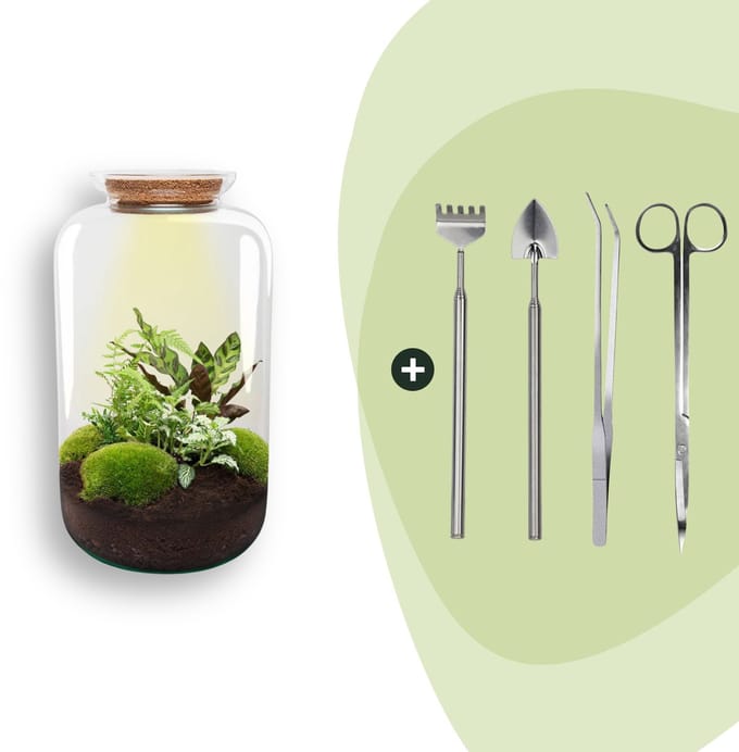 DIY terrarium - Botanical Sven XL -  43 cm -
