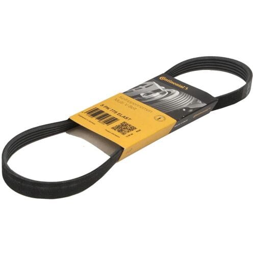 Continental Ctam Poly V-riem CONTINENTAL 5 PK 775 ELAST