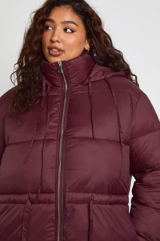 boohoo Dames PLUS MET CAPUCHON, GETAILLEERDE TAILLE PUFFERJACHT | Chocolate | Maat: 18