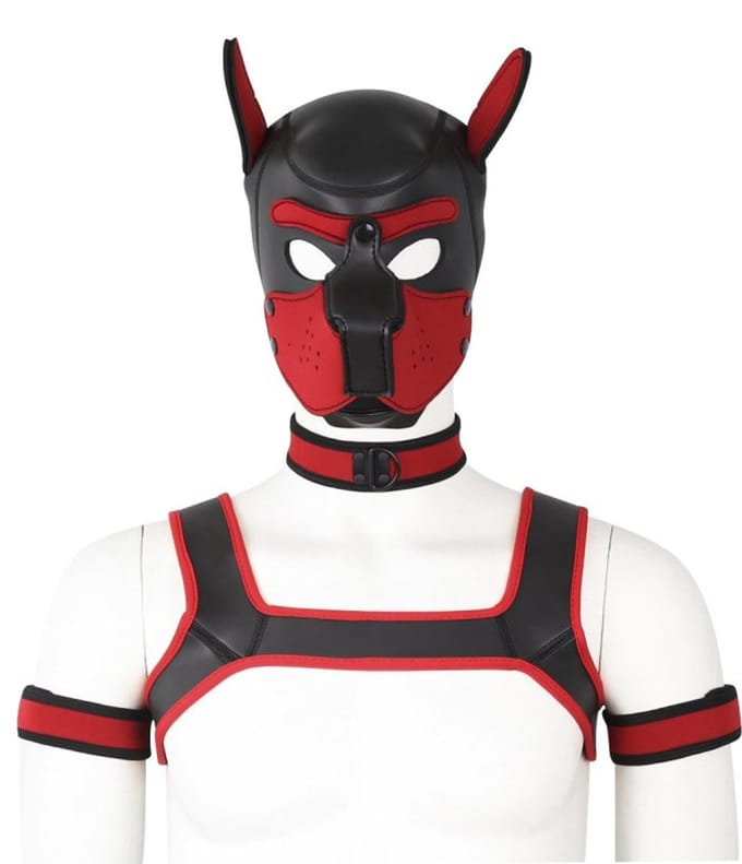 Dog/Puppy Neopreen-Set Diablo Rood