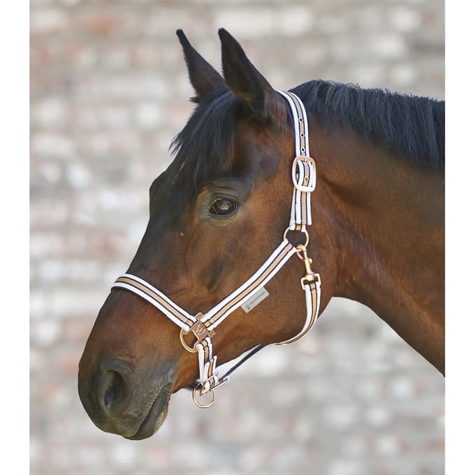 Waldhausen Halter glans Pony Rose-Goud