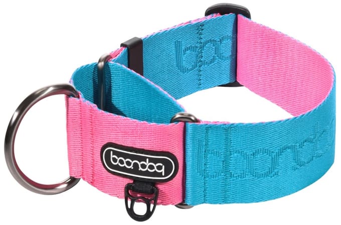 Boondog - Martingale Wide Collar - Aqua/Pink- M