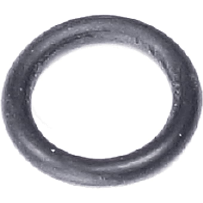 O-ring