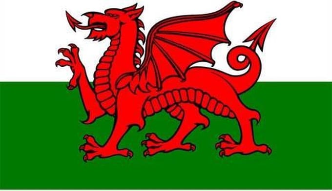 Vlag van Wales 90 x 150
