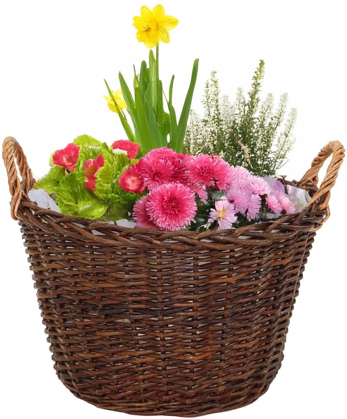 Mega Collections plantenmand Santa Fe - D52 x H33 cm - incl handgreep - rotan