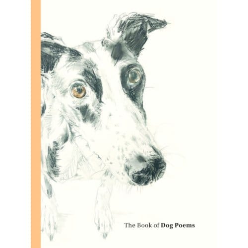The Book Of Dog Poems - Sampson, Ana