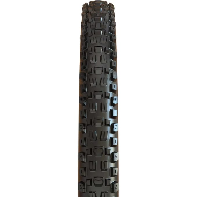 Zachte band Maxxis Assegai MaxxTerra / Exo + / Tubeless Ready 60 TPI