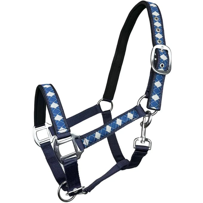 Halster voor paarden York Kimi