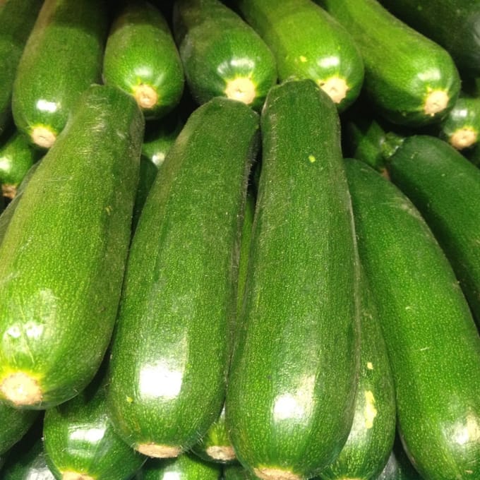 Sluis garden - groentezaad - Courgette Defender F1