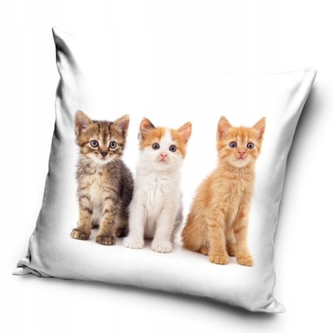 Kat Trio decoratieve kussenhoes 40x40 cm