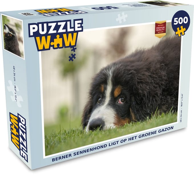 Puzzel Berner Sennenhond ligt op het groene gazon - Legpuzzel - Puzzel 500 stukjes