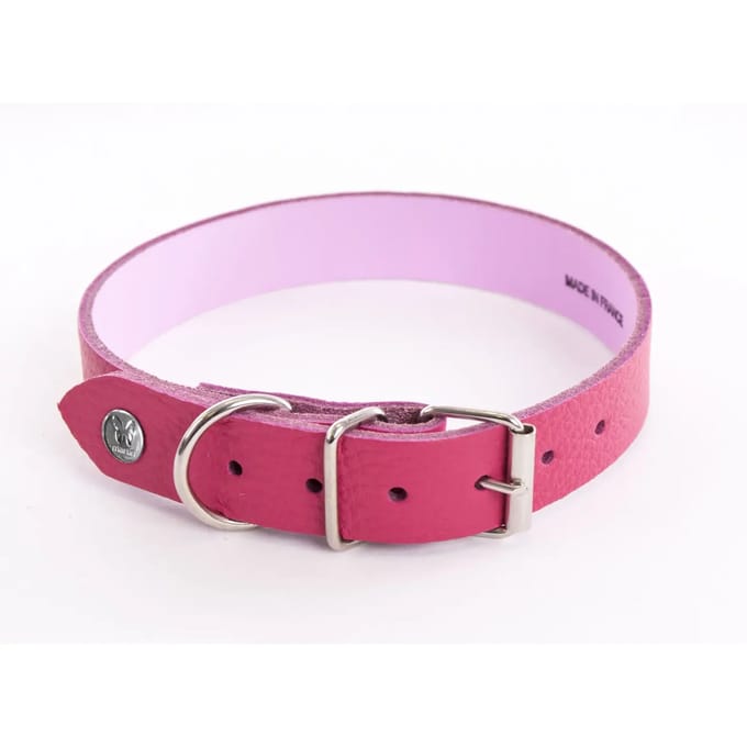 Hondenhalsband Martin Sellier Allure