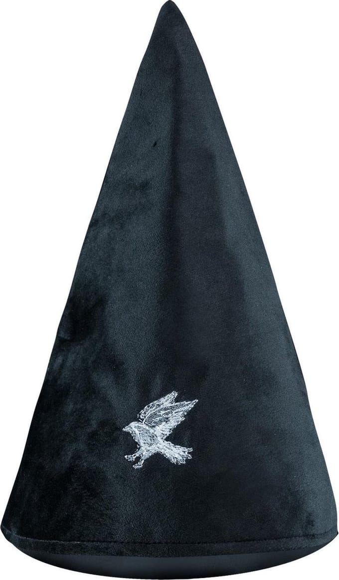 Ravenclaw student hoed