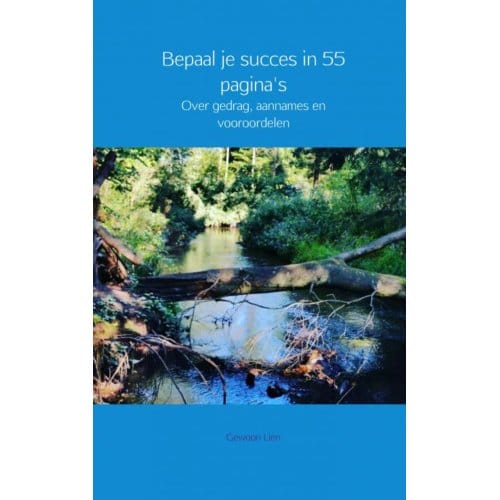 Bepaal Je Succes In 55 Pagina's - Gewoon Lien