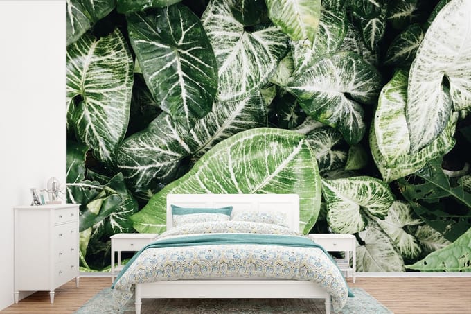Behang - Fotobehang Bladeren - Planten - Natuur - Breedte 330 cm x hoogte 220 cm