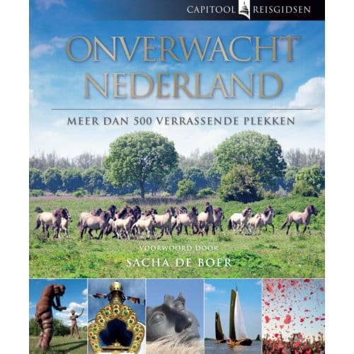 Onverwacht Nederland - Capitool Reisgidsen - Bartho Hendriksen