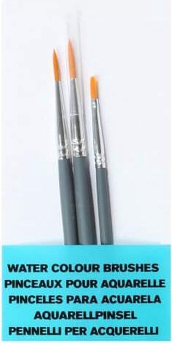 Winsor & Newton Foundation Aquarel Penselen Set 4