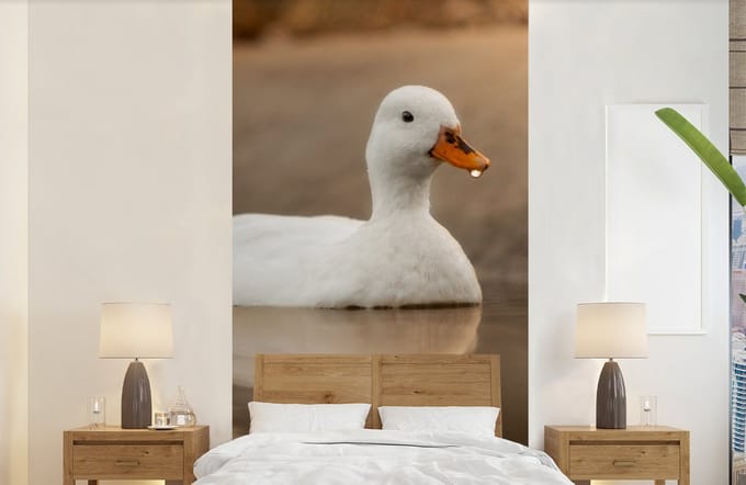 Behang - Fotobehang Eend - Vogel - Water - Wit - Breedte 120 cm x hoogte 240 cm