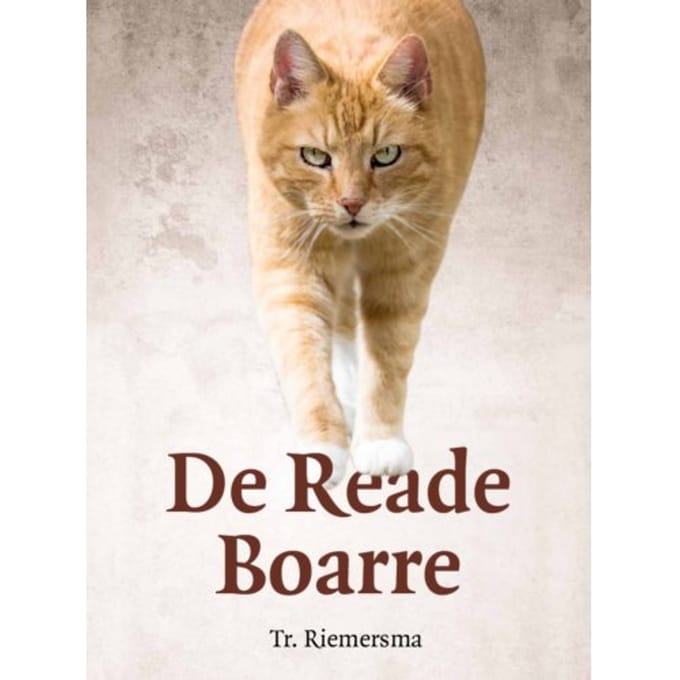 De Reade Boarre - Trinus Riemersma