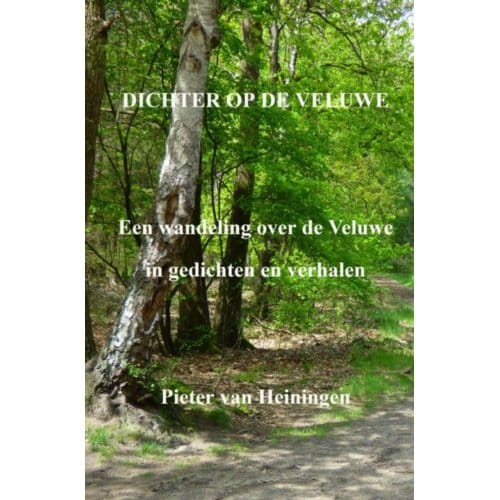Dichter Op De Veluwe - Pieter van Heiningen