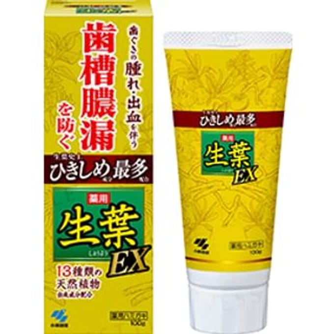 Kiribai - Fresh Leaf EX Toothpaste 100g