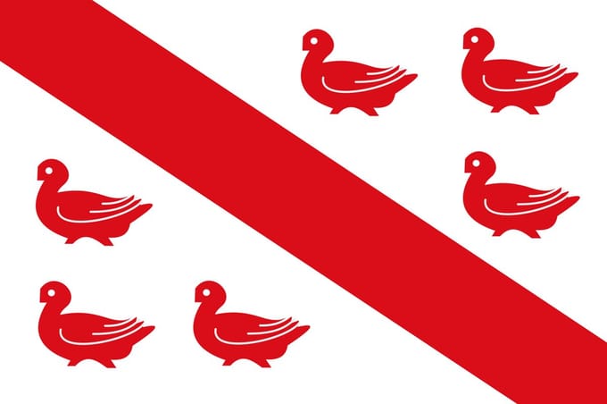 Vlag Tinlot 100x150cm