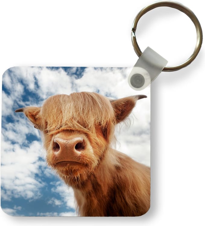 Sleutelhanger - Uitdeelcadeautjes - Schotse Hooglander - Wolken - Kalf - Plastic