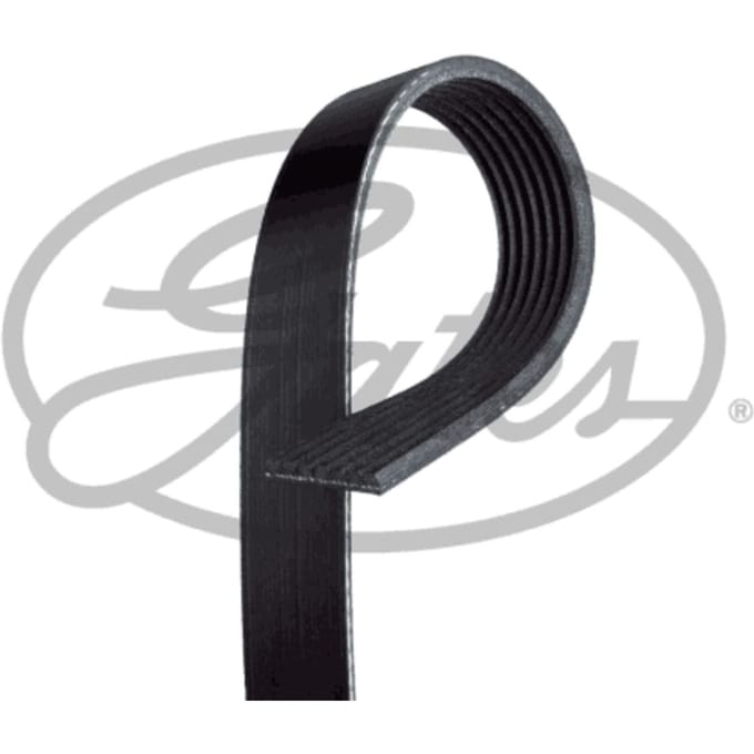 V-riem GATES 7PK2410