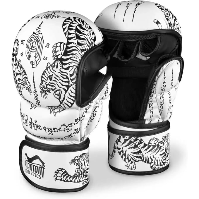 Thaise Trainingsboxhandschoenen Phantom Athletics
