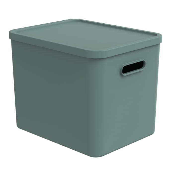 Rotho ALBULA Multibox 29.5x29x37 cm 27L Mistletoe Groen