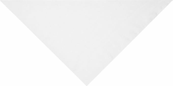 Myrtle Beach Verkleed bandana/sjaaltje - 2x - wit - kleuren thema/teams - Carnaval accessoires