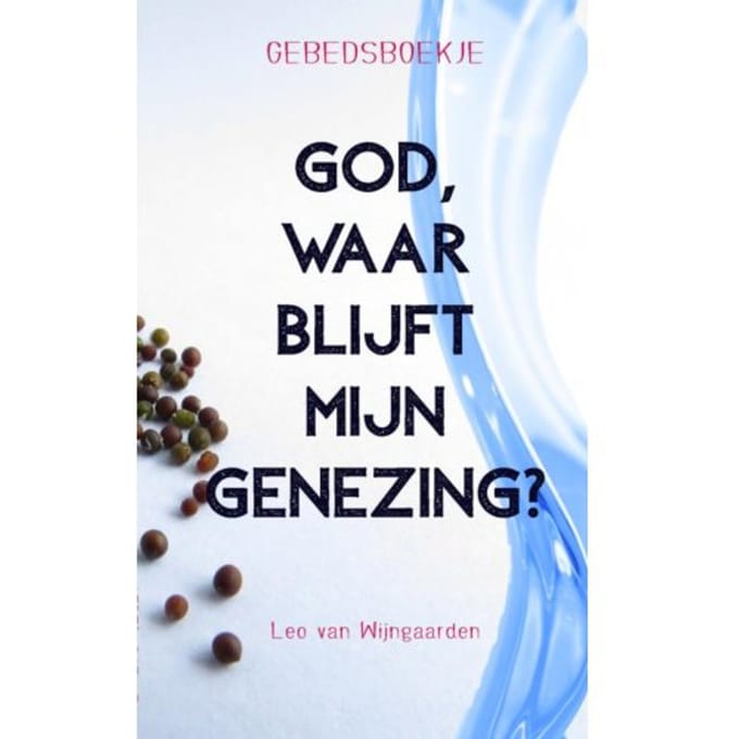 God, Waar Blijft Mijn Genezing? Gebedsboekje - Leo Van Wijngaarden