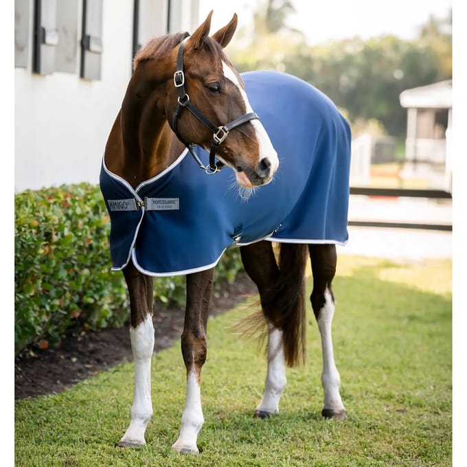 Buiten deken voor paard van jersey Horseware Amigo Cooler