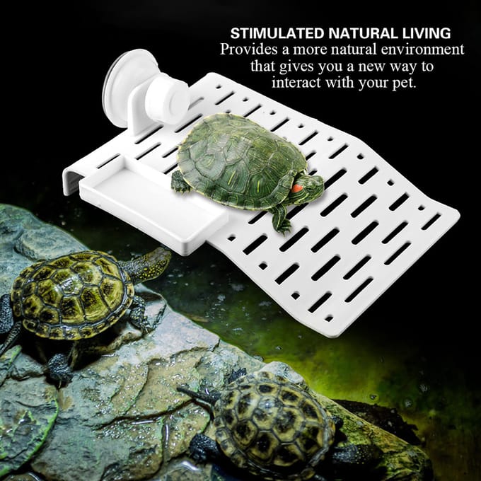 Aquarium Schildpaddenplatform Terras Reptiel Habitat Drijvend Eiland Dok met Zuignap Klein Large