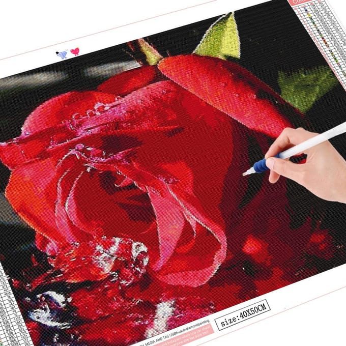 Peinture diamant 5D fleur de Rose, Kit artisanal de décoration de maison, image de broderie 20X30CM red