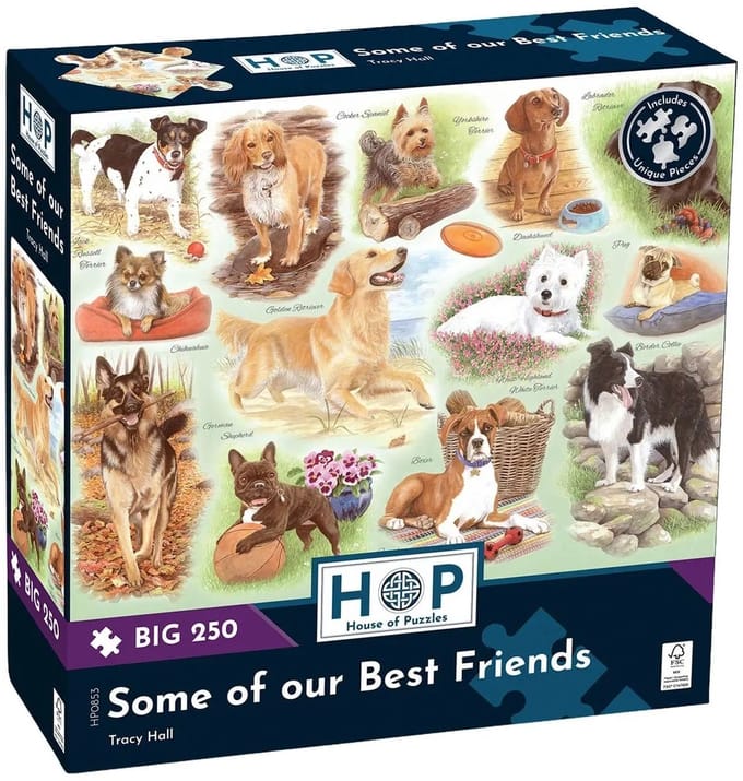 Some of our Best Friends Puzzel 250 XL Stukjes
