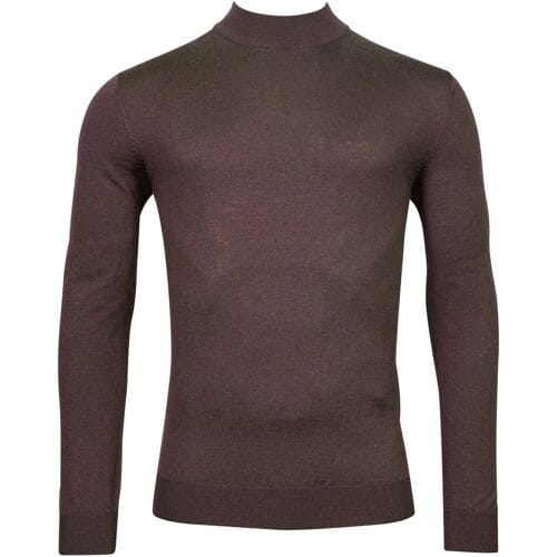 Thomas Maine Trui Uni Color Turtleneck Single Knit Merino Bruin / male