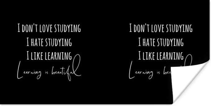 Poster Leren - Studeren - Student - Quotes - Studentenleven - 80x40 cm