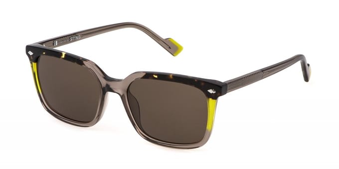 Sting SST515 Marrone trasparente lucido 53/18/140 UNISEX Zonnebrillen